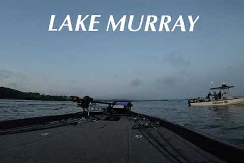 LAKE MURRAY Herring Spawn - SCLEOA Tournament May 2024