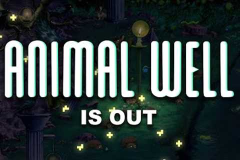 ANIMAL WELL is Out