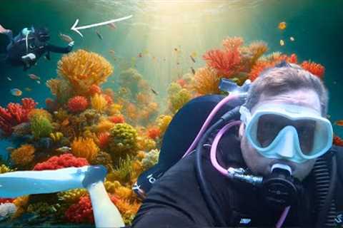 Scuba diving in Philippines