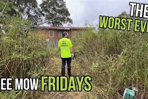 The most OVERGROWN Suburban backyard I've ever seen. Free Mow Fridays
