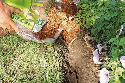 Ditch Plastic Landscape Edging for Natural Mulch