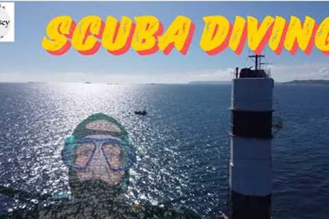 Scuba diving new dive locations looking for new species