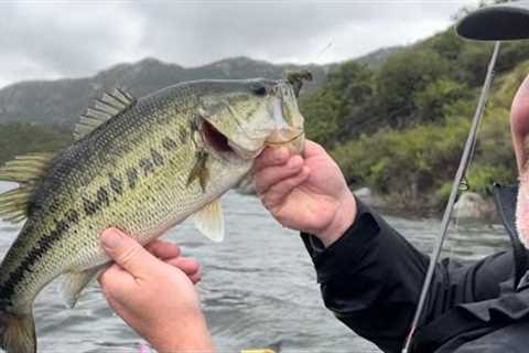 Lake Barrett Fishing: Opening Week 2024