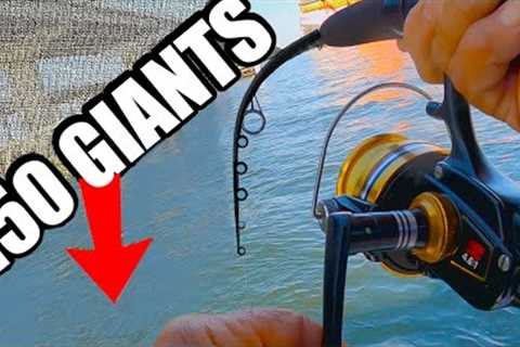 Unstoppable Fish At This Bridge (Saltwater Fishing Florida)