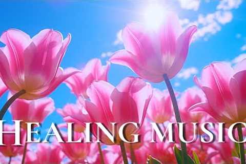 Healing Music Helps Reduce Stress, Fatigue, Depression And Negativity🌷Deep Relaxation |Nature..