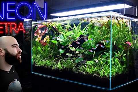 Building the Perfect Neon Tetra Jungle Aquarium w/ @biotopia