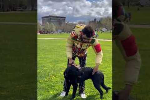 A Technique That Changes Your Dog Forever.