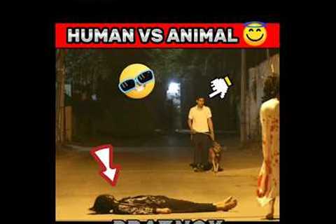 POV:-HUMAN VS ANIMAL 👊👻|| hanuman | #hanumanji #bajrangbali #ghost #prank #viral #video