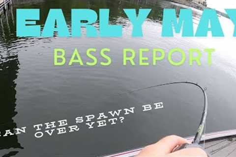 Early May Fishing Report | Lake of The Ozarks