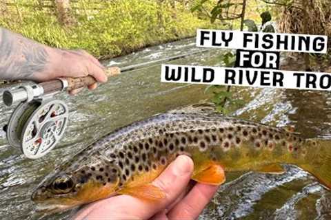FLY FISHING for WILD River TROUT
