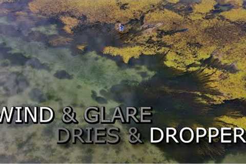 Applying Various Fly Fishing Tactics in Changing Conditions: Wind, Cloud, Glare, Dries &amp;..