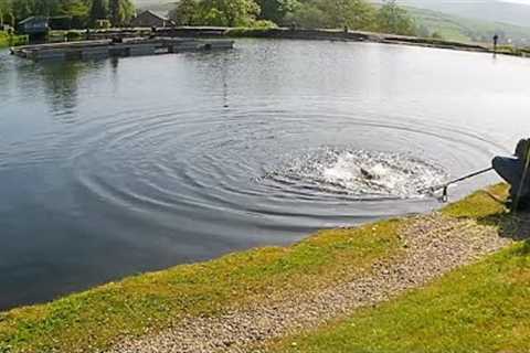 239. Fishing Hoppers &amp; Beaded Trout Flies for Blues and Rainbows - Fly Fishing UK