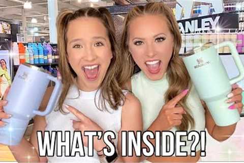 PICKING OUT OUR DREAM STANLEY CUPS &amp; BUYING ANYTHING THAT CAN FIT INSIDE OF IT CHALLENGE!