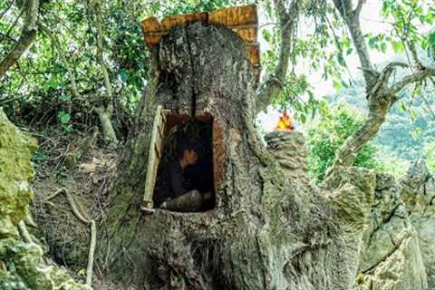 Diary 30 Days solo Survival CAMPING. Build a secret survival shelter deep inside big tree, Cooking