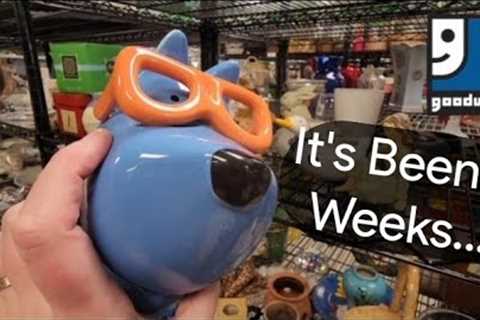 It's Been 2 Weeks - Shop Along With Me - Goodwill Thrift Store
