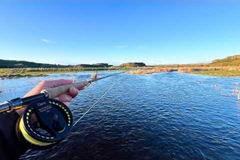 Blown out Creek, Unusually Large Trout (Fly Fishing)