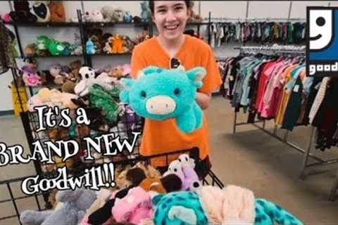It's a Brand New Goodwill! - Shop Along With Me - Goodwill Thrift Stores