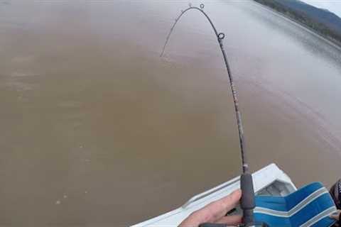 Fishing at Lake Nillahcootie (hardest fighting fish ever)