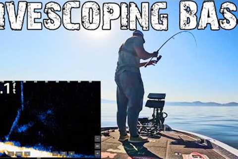 LIVESCOPE FOOTAGE Bass Fishing LAKE GUNTERSVILLE!