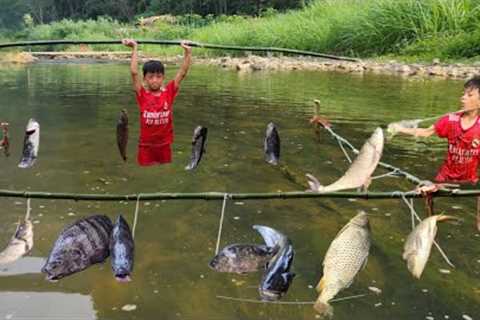 FULL VIDEO 10 days: Bac's solo survival skills, catching fish in large streams, harvesting crabs.