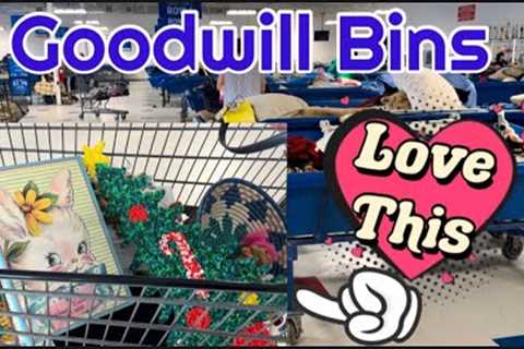 Fun Kitschy Finds Today at the Goodwill Bins | Thrift With Me | Shopping for Resell