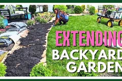 Backyard Landscape Re-Design | No-Dig Garden Beds | NEW Hydrangeas