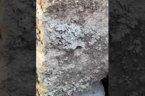 Foundation repairs —————-house leveling