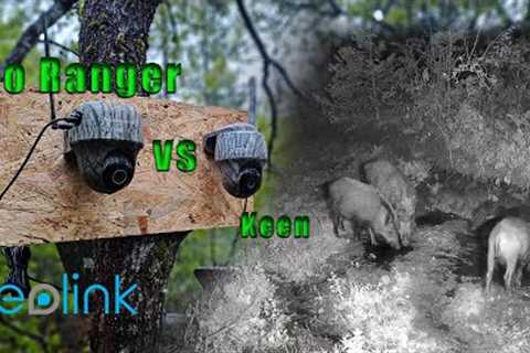 Go ranger by Reolink. New trail camera 4K / Raptis team hunting
