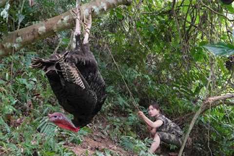 turkey tracks, make wire traps to trap turkeys, survival skills, survival alone