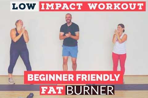 Low impact cardio and resistance standing home workout