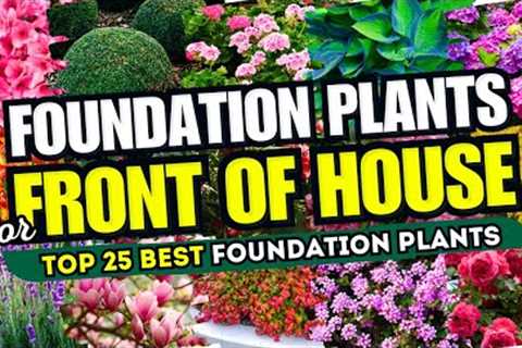 🏡 25 Best FOUNDATION PLANTS for Front of House! 😍✨ FRONT YARD FABULOUSNESS! 😱