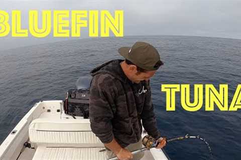 Fishing for Bluefin Tuna off a Small Boat ||| HONEY HOLE FISHING