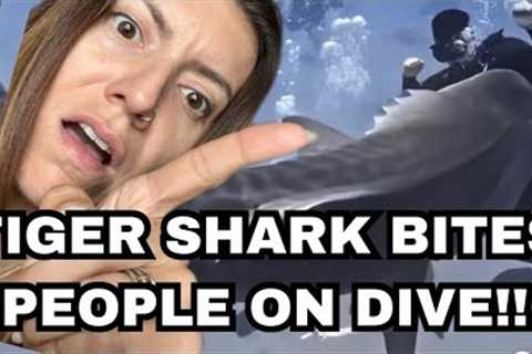 TIGER SHARK BITING DIVERS ON SCUBA DIVE