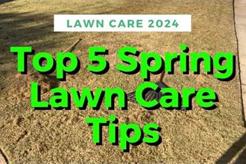 Spring Lawn Care Tips For Bermuda Grass