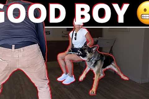 The BEST “Punishment” for Barking at People that can FIX your dog and give you piece of mind.