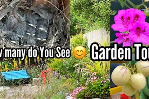 Garden Tour Growing TIPS, Birds, Nest &amp; Nature Talk, Ground/Container Gardening Vegetables..
