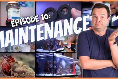 Keep It CLEAN! A Beginner’s Guide to Saltwater Aquarium Maintenance. EP: 10
