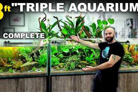 Building an 8ft Colossal TRIPLE Aquarium FINISHED!