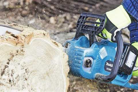The Best Battery-Powered Chainsaws Tested by Family Handyman