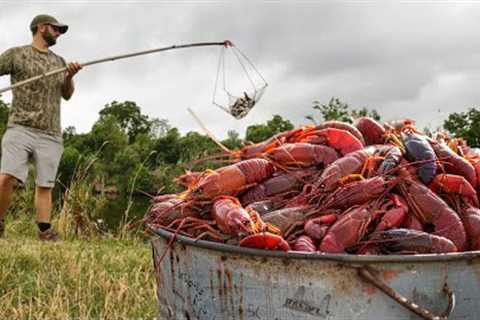 Catching CRAWFISH the OLD SCHOOL Way (Catch and Cook)