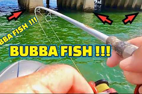 A Deadly FISHING BAIT that CATCHES a BOAT LOAD of FISH !!!