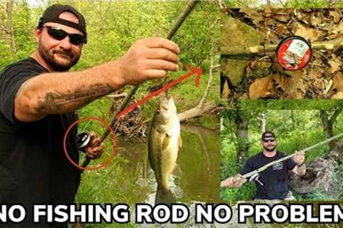 Catch More Fish with a DIY Fishing Pole from the Landscape