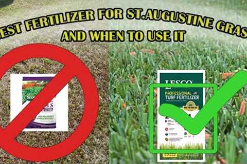 The Best Fertilizer For St Augustine Grass | When To Fertilize Your Lawn