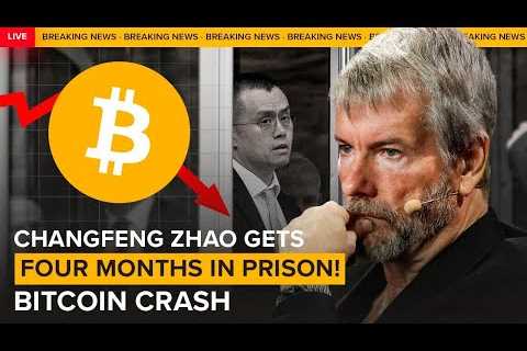 Michael Saylor: What to Expect NEXT? BTC Prediction