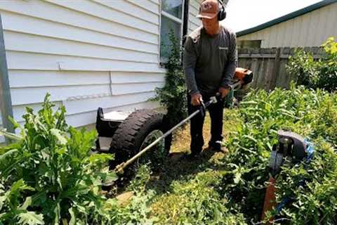 Elderly Man Needs Help Getting OVERGROWN LAWN Back In Shape, SATISFYING RESULT