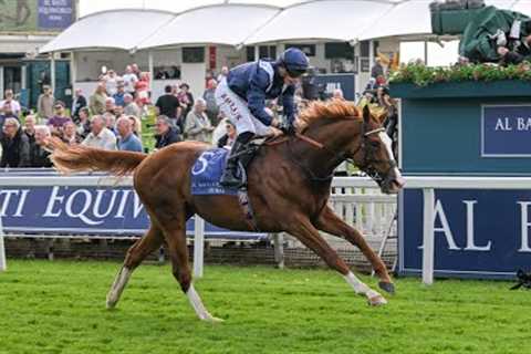 ECONOMICS leaves connections a quandary with clear-cut 2024 Dante Stakes success