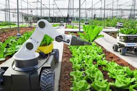 From Drones to Robots, How Technology is Changing Agriculture