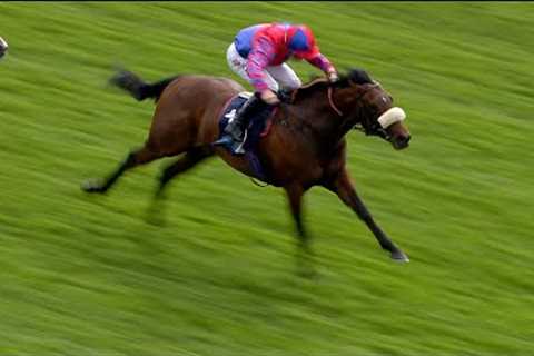 A winning reappearance for the classy Big Evs at York