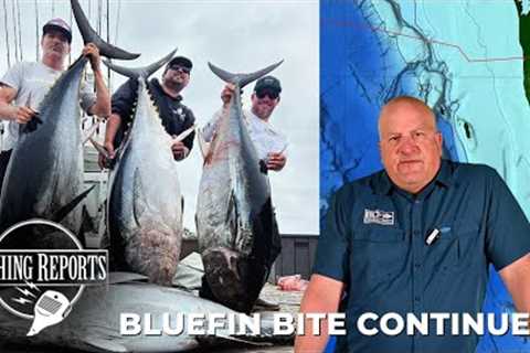 Southern California Bight FISHING REPORT 05/16/2024
