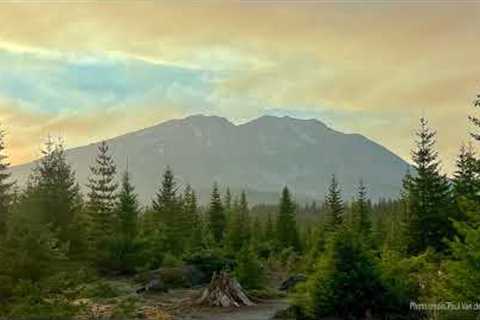 Guided Meditation:  Living Presence - Tara Brach